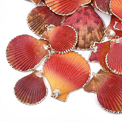 Red Spray Paint & Electroplate Sea Shell Pendants, with Iron Findings, Light Gold, Red, 40~61x36~54x3~10mm, Hole: 2mm