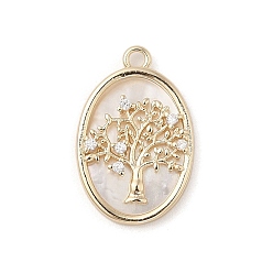 Настоящее золото 18K Латунные микропаве прозрачные подвески с фианитом, с натуральной белой оболочкой, овальные, реальный 18 k позолоченный, 20.5x13.5x2.5 мм, отверстие : 1.6 мм