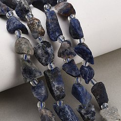 Sodalite Raw Rough Natural Sodalite Beads Strands, Nuggets, with Seed Beads, 8~19x7~10x6~8mm, Hole: 1mm, about 28~30pcs/strand, 15.16''(38.5cm)~15.94''(40.5cm)