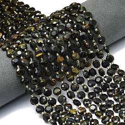 Тигровый глаз 3- окрашенные нити из натурального тигрового глаза, граненый шестиугольный разрез, плоско-круглые, с бисером, 8~8.5x5 мм, отверстие : 0.8 мм, около 36 шт / нитка, 15.16''~15.24'' (38.5~38.7 см)