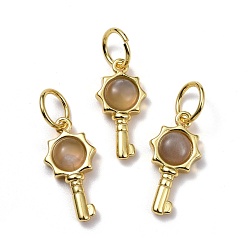 Grey Moonstone Подвески из натурального серого лунного камня, с фурнитурой позолоченной латунной, ключ, 20x10x4 мм, отверстие : 6.2 мм