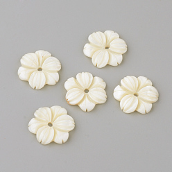 Ivoire Perles de coquillages naturels d'eau douce, fleur, blanc crème, 20x3.5mm, Trou: 2mm