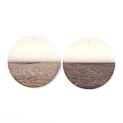 Белый Подвески из смолы и ореха, плоско-круглые, белые, 38~39x4 мм, отверстие : 1.8 мм
