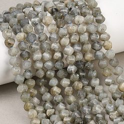 Лабрадорита Природные лабрадорита бисер нитей, граненые, твист, 6~6.5x5x5 мм, отверстие : 1 мм, около 58~61 шт / нитка, 14.17''~14.69'' (36~37.3 см)