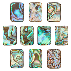 Coquille Paua 10 cabochons en coquillage d'ormeau naturel/coquillage paua, Avec coquille d'eau douce, rectangle, 15x10x3mm