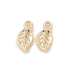 Настоящее золото 14K Латунные подвески, лист прелести, реальный 14 k позолоченный, 10.5x5x1.5 мм, отверстие : 1.2 мм, 5 шт / комплект