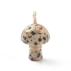 Далматинских Джаспер Подвески из медной проволоки из натуральной далматинской яшмы, гриб с вихревым шармом, золотой свет, 29x16.5 мм, отверстие : 3~4 мм