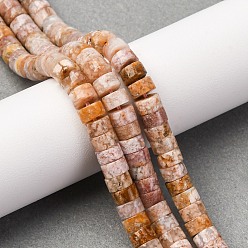 Вишневый агат Натуральные вишневые агатовые бусины, диск, Heishi бусы, 6x3.5 мм, отверстие : 0.8 мм, около 113~114 шт / нитка, 14.92'' (37.9 см) ~ 15.08'' (38.3 см)