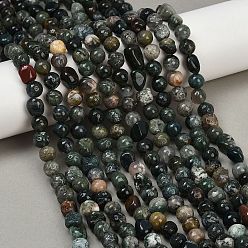 Мосс Агат Природные моховой агат бисер нитей, самородки, упавший камень, 8~13x8~10x3~8 мм, отверстие : 1 мм, около 49~50 шт / нитка, 15.55~15.75'' (39.5~40 см)