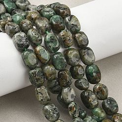 Африканский Бирюза(яшма) Бусы натуральная африканская бирюза (яшма), самородки, упавший камень, 6~12x5~8.5x4~8 мм, отверстие : 0.8~1 мм, около 40~52 шт / нитка, 15.16''~15.94'' (38.5~40.5 см)