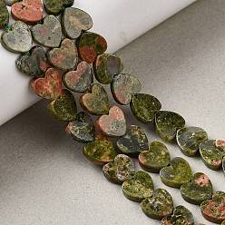 Унакит Природные Unakite бисер нитей, сердце, 8x8x2.5 мм, отверстие : 0.6 мм, около 50 шт / нитка, 14.88''~15.12'' (37.8~38.4 см)