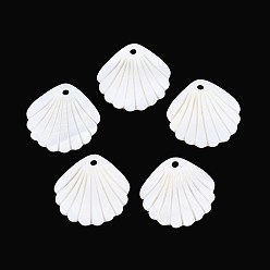 Морская Ракушка Подвески из резных натуральных пресноводных ракушек, подвески в форме ракушек, цвет морской раковины, 22x21.5x1.5 мм, отверстие : 1.8 мм