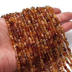 Red Agate Натуральный красный агат бисер нитей, самородки, класс А, 5~9x4~6x3~4.5 мм, отверстие : 0.7 мм, около 75~89 шт / нитка, 15.35'' (39 см) ~ 15.94'' (40.5 см)