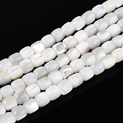 Кремово-белый Натуральная оболочка из трохидных оболочек, колонка, кремово-белые, 3.5~5x3.5~4 мм, отверстие : 0.6 мм, около 98 шт / нитка, 15.55 дюйм (39.5 см)