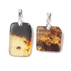 Платина Подвески из натурального янтаря, прямоугольные подвески с латунными дужками, темно-золотистые, платина, 19~26x16~16.5x3.5~5.5 мм, отверстие : 4.5x3.5 мм