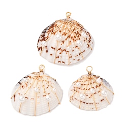 Морская Ракушка Подвески из медной проволоки из натуральной раковины моллюска, подвески в форме ракушки с круглой ракушечной жемчужиной, золотой свет, цвет морской раковины, 27~34.5x26~33.5x9~12.5 мм, отверстие : 2 мм
