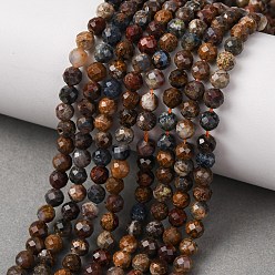 Петерсит Натуральные пиеттеритные бусины, граненые, круглые, 5 мм, отверстие : 0.8 мм, около 67 шт / нитка, 15.7 дюйм (40 см)