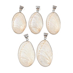 Платина Большие подвески из натуральной белой ракушки-ушка, овальные подвески с латунной окантовкой, платина, 42~51x24~30x7~10 мм, отверстие : 7.5x7 мм