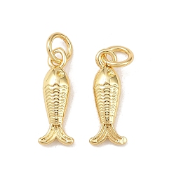 Настоящее золото 18K Латунные подвески, рыбы прелести, долговечный, без свинца и без кадмия, стойки покрытие, с целью перехода в кольце, реальный 18 k позолоченный, 15x6x3 мм, отверстие : 3.3 мм
