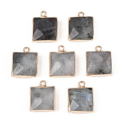 Лабрадорита Ограненные подвески из натурального лабрадорита, квадратные латунные подвески, золотые, 18x14~15x6~6.5 мм, отверстие : 1.8 мм