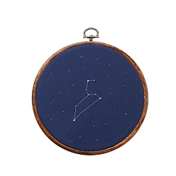 Leo DIY Embroidery Kits, Including Embroidery Cloth & Thread, Needle, Embroidery Hoop, Instruction Sheet, Leo, 150x150mm