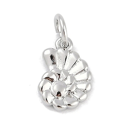 Платина Стойки обшивки латунные подвески, раковины прелести, долговечный, без свинца и без кадмия, с целью перехода в кольце, платина, 11x7.5x2 мм, отверстие : 3 мм