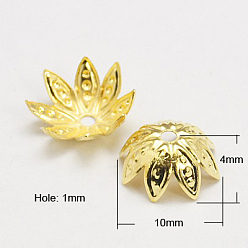 Золотой Железный шарик крышки, золотые, 10x4 мм