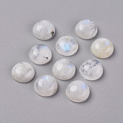 Rainbow Moonstone Кабошоны из натурального радужного лунного камня, полукруглые / купольные, 12x5 мм