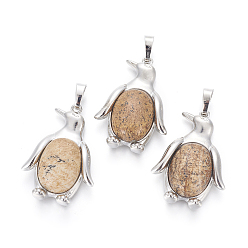 Пейзажный Джаспер Естественного изображения яшмы подвески, с латунной фурнитурой , пингвин, платина, 34~35x24~25x5~8 мм, отверстие : 8x5 мм