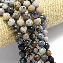 Природный Драгоценный Камень Натуральные дендритные опаловые бусины нити, круглые, 10~10.5 мм, отверстие : 0.9~1 мм, около 38 шт / нитка, 15.35''~15.43'' (39~39.2 см)