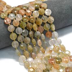 Gemstone Природных драгоценных камней бисер нитей, граненый шестиугольный разрез, плоско-круглые, с бисером, 10~10.5x6 мм, отверстие : 1.1 мм, около 31~32 шт / нитка, 15.35''~15.55'' (39~39.5 см)