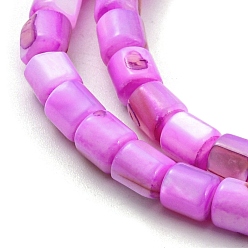 Magenta Natural Freshwater Shell Beads Strands, Dyed, Column, Magenta, 4~5.5x5mm, Hole: 0.6mm, about 74~75pcs/strand, 14.76~14.96 inch(37.5~38cm)