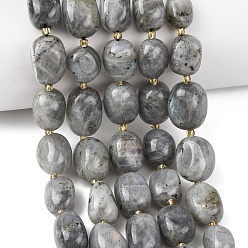 Лабрадорита Природные лабрадорита бисер нитей, самородки, упавший камень, с бисером, 12~20x9~15x7~15 мм, отверстие : 1 мм, около 21~24 шт / нитка, 15.35''~15.75'' (39~40 см)