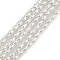 Белый Гальванические оболочки жемчужные бусы пряди, рис, белые, 4x3 мм, отверстие : 0.9 мм, около 90 шт / нитка, 15.94'' (40.5 см)