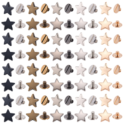 (52) Непрозрачная лаванда 50шт 5 цвета набор заклепок из сплава, звезда, для кошелька сумка обувь панк-рок кожаный ремесленный ремень для одежды, разноцветные, 12x12 мм, 10 шт / цвет