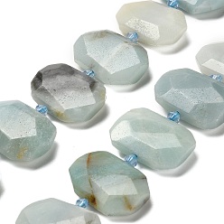 Flower Amazonite Натуральный цветок амазонитовые бусины пряди, со стеклянными бусинами, граненые, прямоугольные, 20.5~22.5x15.5~16.5x6.5~7.5 мм, отверстие : 1.6 мм, около 21 шт / нитка, 15.12~15.28'' (38.4~38.8 см)
