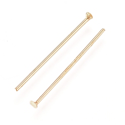 Golden 304 Stainless Steel Flat Head Pins, Golden, 18.5x0.6mm, 22 Gauge, Head: 1.4mm