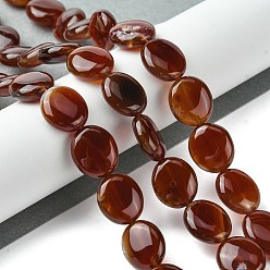 Красный Агат Нити натуральных бусин из сердолика (крашенные и нагретые), Плоско-овальные, 13~14x12x5.5~6 мм, отверстие : 1.2 мм, около 29 шт / нитка, 15.83'' (40.2 см)