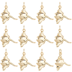 Настоящее золото 18K 12шт. подвески из латуни в виде ската манты, без кадмия и без свинца, долговечный, стойки покрытие, с целью перехода в кольце, реальный 18 k позолоченный, 19.5x17x3 мм, отверстие : 3.5 мм