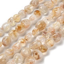 Лодолит Кварц Нити бусин из натурального желтого кварца лодолита, самородки, упавший камень, 7~13x4.5~10x4.5~10 мм, отверстие : 1.2 мм, около 44~46 шт / нитка, 15.08''~16.14'' (38.3~41 см)