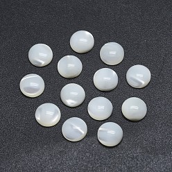 Shell Shell Cabochons, Flat Round, 6x2~2.5mm