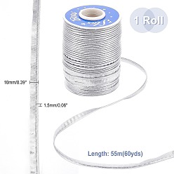 Серебро Полиэфирная лента, плоский, серебряные, 3/8 дюйм (10x1.5 мм), около 60.15 ярдов (55 м) / рулон