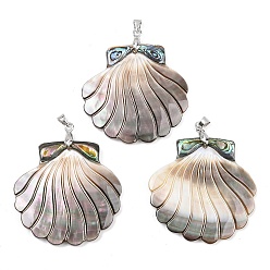 Серый Подвески из натуральной ракушки пауа и черной ракушки-губы, подвески в форме ракушек с латунными дужками, платина, стойки покрытие, серые, 40.5x40.5~42.5x4~4.5 мм, отверстие : 4.5x4 мм