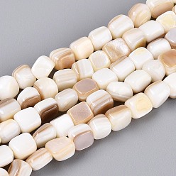 Светло-коричневый Естественных пресноводных оболочки бисер нитей, квадратный, загар, 5~8x6~7x5~6 мм, отверстие : 0.5~0.6 мм, около 60~61 шт / нитка, 15.35~15.75 дюйм (39~40 см)