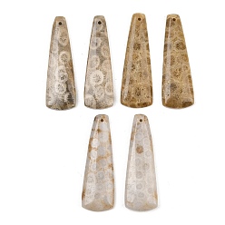 Trapezoid Натуральные ископаемые коралловые подвески, подходящие подвески, трапециевидные подвески, 40x13.5x4 мм, отверстие : 1.6 мм