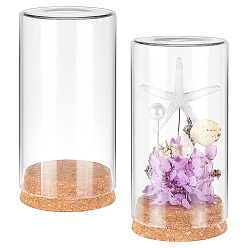 Прозрачный Пустая стеклянная банка, с пробкой, контейнер для бисера, бутылка желаний, прозрачные, 12.8x6.5 см, Внутренний диаметр: 6.1 cm