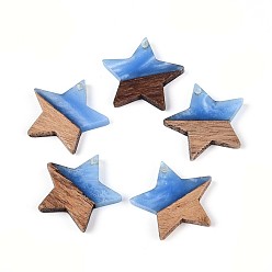 Васильковый Подвески из смолы и ореха, звезда, васильковый, 20.5x22~22.5x3.5 мм, отверстие : 1.5 мм