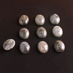 Oval Natural Labradorite Cabochons, Oval, 20x15mm