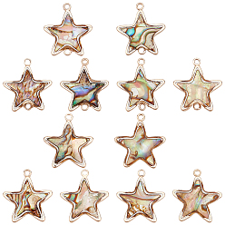 Light Gold Наборы для изготовления ювелирных изделий своими руками, в том числе подвески и подвески с соединителями в виде ракушек с натуральными черными губами, с латунной фурнитурой , звезда, золотой свет, 18x16x2 мм, отверстие : 1.5 мм, Кулон : 18x16x2.5 мм, отверстие : 1.6 мм, 12 шт / коробка