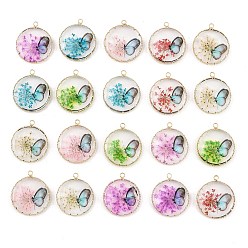 Mixed Color Brass Glass Pendants, Flat Round with Butterfly Charms, with Dried Flower, Mixed Color, 29x25.5x7mm, Hole: 2.5mm